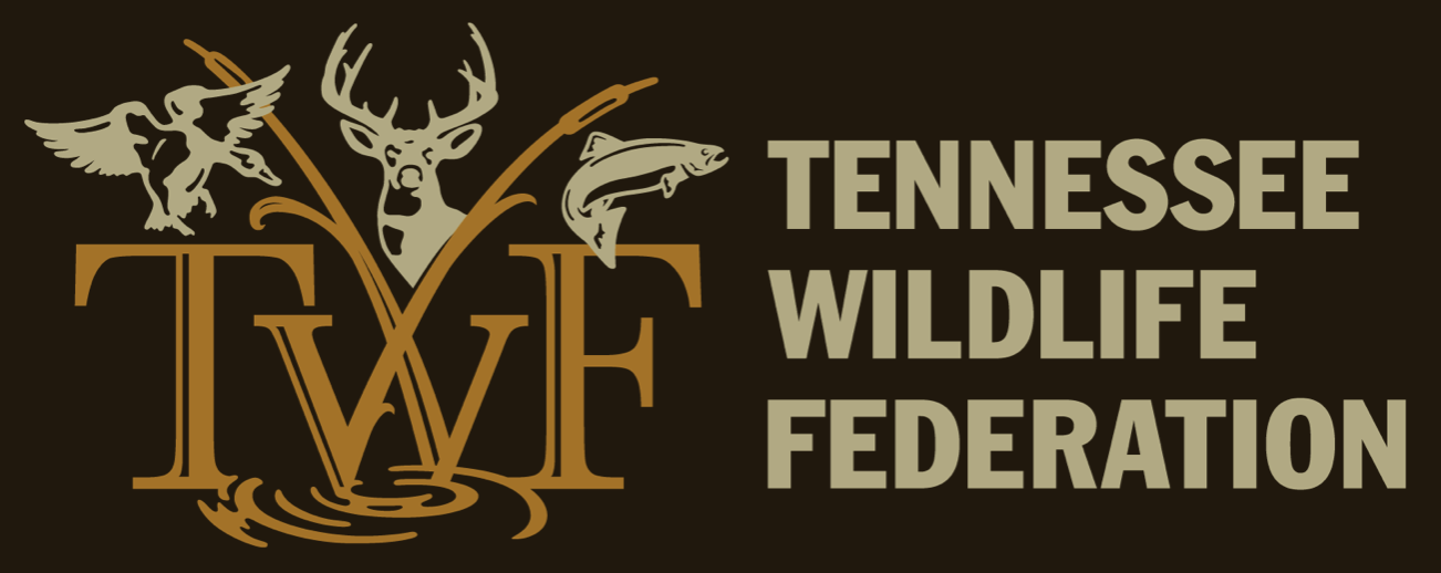 Tennessee Wildlife Federation